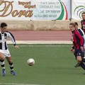 A.S.D. Canosa Calcio