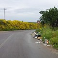 Strada interna vicino mattatoio rifiuti abbandonati