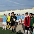 Arbitro D'Oronzo Michele