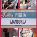 I Gelati d'Italia Puglia Mandorla