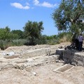 Tra gli ulivi, visita guidata nel Parco Archeologico San Leucio Canosa di Puglia