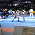 Campionati Italiani Fijlkam settore karate kumite, Luca Silvestri