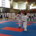Karate: competizione del 13 ottobre 2013