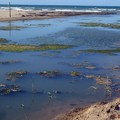 Barletta-Bat: Scarico Litoranea di Ponente