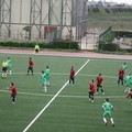 U.S.D. Giovinazzo - ASD Canosa 3-0