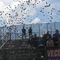 Real Modugno - ASD Canosa 3-0 Vecchia Guardia