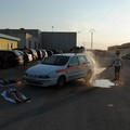 Campo scuola di Protezione Civile