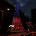 Albero di Natale in Piazza Terme