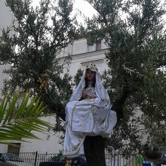Canosa: Chiesa in uscita