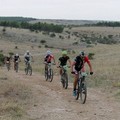 Marathon del Bosco di Bitonto,  Ironbike Puglia