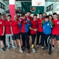 Boxe De Palo