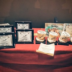 Festival Nazionale di Teatro Amatoriale "SCIAPÒ" Città di Canosa di Puglia