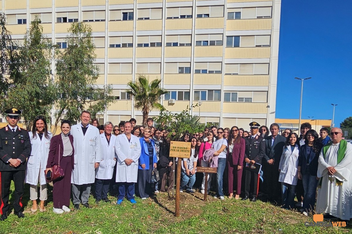 Al Dimiccoli di Barletta “Un albero per la salute”