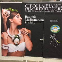 Cipolla bianca Igp di Margherita di Savoia