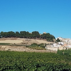 Canosa di Puglia- Castello
