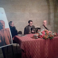 Giannicola Sinisi