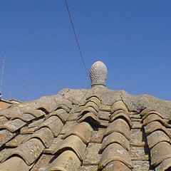 La pigna sul tetto della Cattedrale di S. Sabino - Canosa