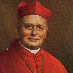 Cardinale Eugenio Tosi