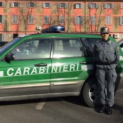Carabinieri Forestale