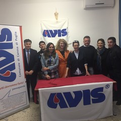 2017 AVIS CANOSA