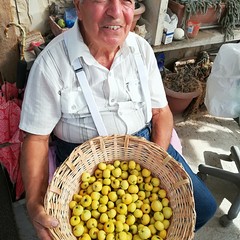 Le azzeruole raccolte da Saverio Leone