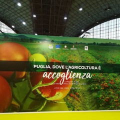 Puglia dove l'agricoltura è bellezza- Fiera del Levante 2018