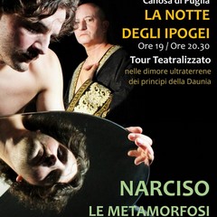 Narciso-Le Metamorfosi” de Il Teatro del Viaggio