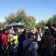 Azienda Agricola Sabino Leone Canosa di Puglia(BT)