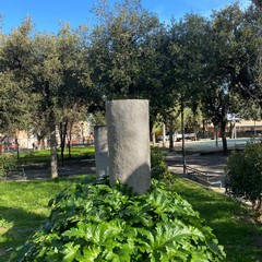 Acanto in villa a Canosa