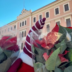 Christmas for ANT- Delegazione di Canosa di Puglia