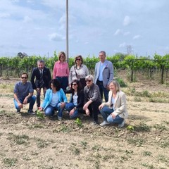 Canosa di Puglia: Il terrizuolo nell'azienda agraria dell'IISS "L.Einaudi"