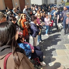 La Giornata Mondiale degli animali compie 100 anni
