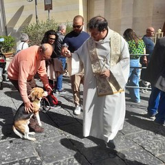 Canosa: Celebrata la Giornata mondiale degli animali