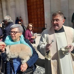 La Giornata Mondiale degli animali compie 100 anni