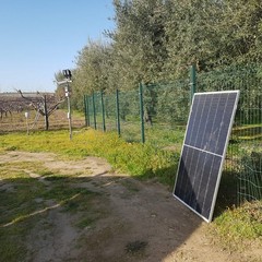 Sventato un furto di pannelli fotovoltaici