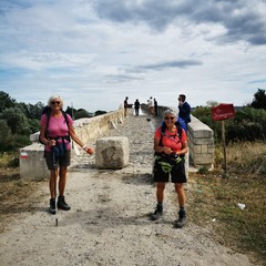 VIA FRANCIGENA CANOSA DI PUGLIA