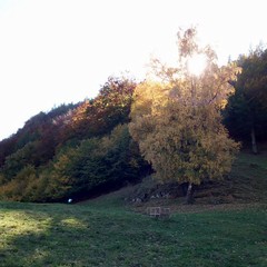 Issogne Chantery