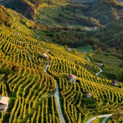 Le Colline  di Conegliano