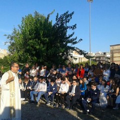Don Nicola Caputo