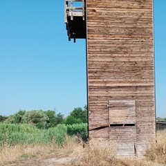 Canosa: Altana presso il ponte romano