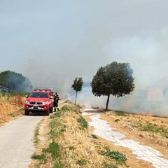 Canosa: a fuoco l'area archeologica del Tratturo Regio