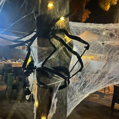 Canosa: La magia di Halloween al “Villaggio da Margot”