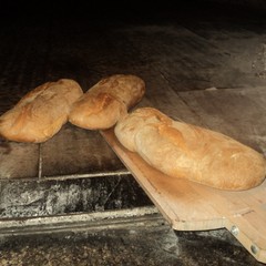 Il pane del forno a legna