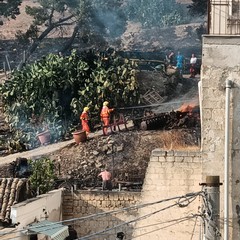 Canosa: In fiamme la pineta del Castello