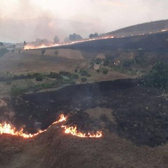 2020 Incendio Collina di Via Corsica