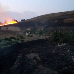 2020 Incendio Collina di Via Corsica