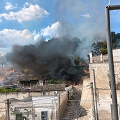 Canosa: In fiamme la pineta del Castello