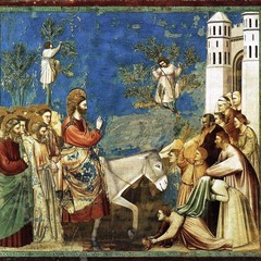 L'asinello di Giotto