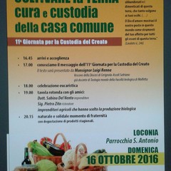 Coltivare la Terra :cura e custodia della Casa Comune