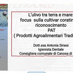 L'intervento della Consigliera comunale Antonia Sinesi